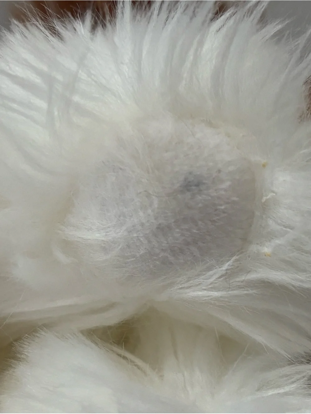 Aurora Miyoni Tots Shih Tzu Puppy Dog Plush 10